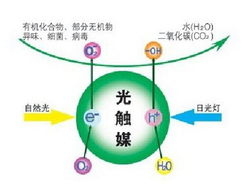 如何快速去除甲醛